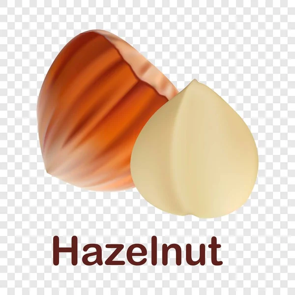 Hazelnoot pictogram, realistische stijl — Stockvector