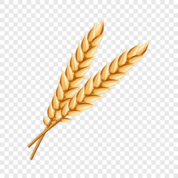 小麦のアイコン、現実的なスタイル — ストックベクタ