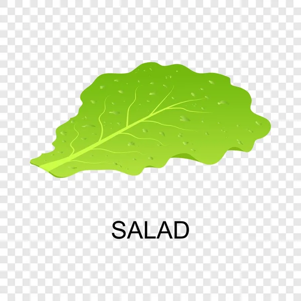 Ícone de salada, estilo isométrico — Vetor de Stock