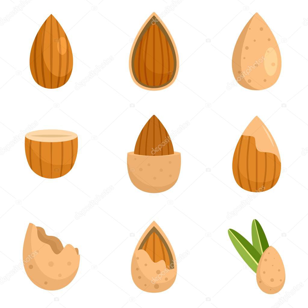 Almond walnut oil seed icons set flat style