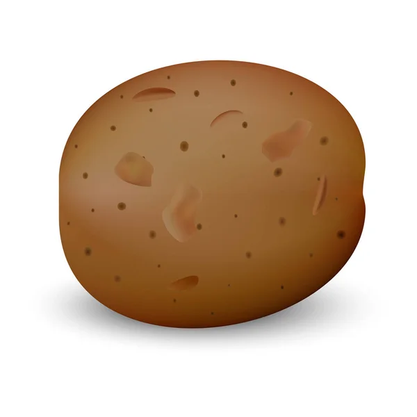 Bruin aardappel mockup, realistische stijl — Stockvector