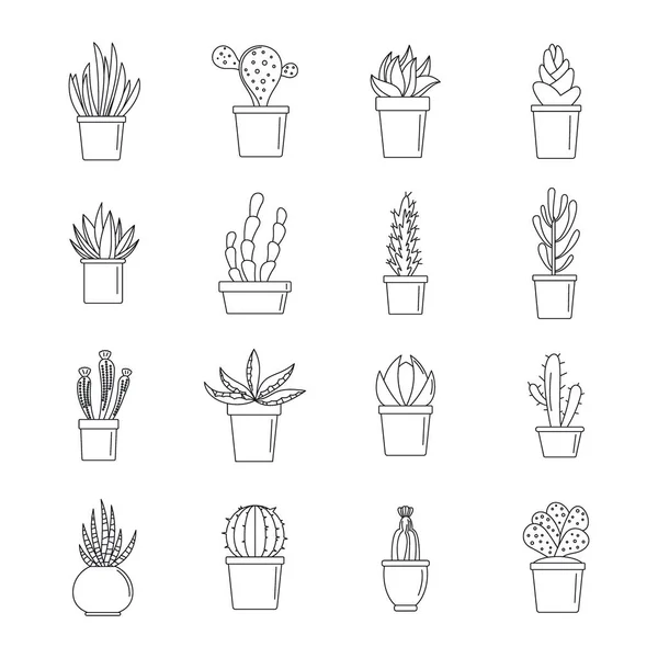 Icônes succulentes et cactus ensemble, style contour — Image vectorielle