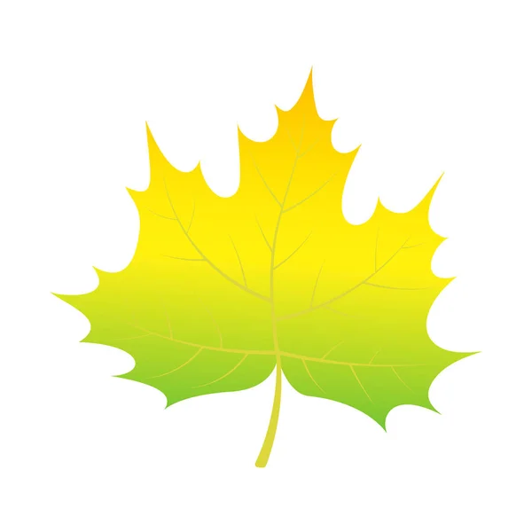 Ağaç simgesiyle, izometrik stil yaprak yeşil — Stok Vektör