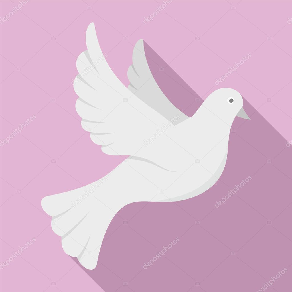 White pigeon of peace icon, flat style