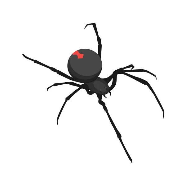 Spider icon, isometric style — Stock Vector