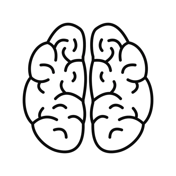 Hersenpictogram, contourstijl — Stockvector