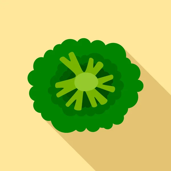 Pohled shora brokolice ikona, plochý — Stockový vektor
