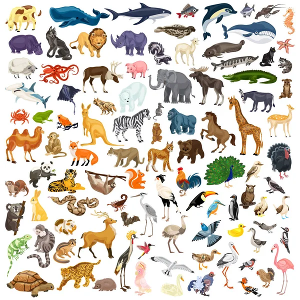 Animales icono conjunto, estilo de dibujos animados — Archivo Imágenes Vectoriales