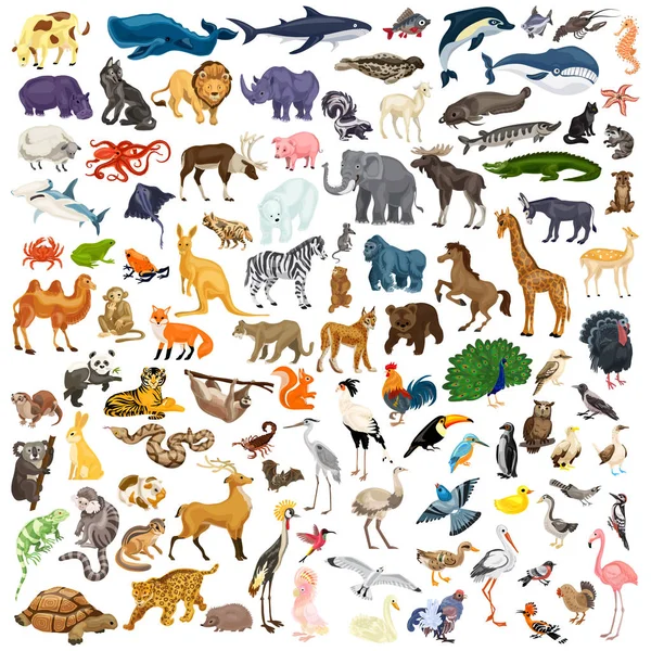 Dieren pictogrammenset, cartoon stijl — Stockvector