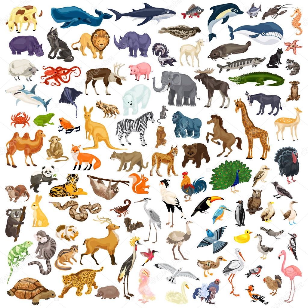 Animals icon set, cartoon style