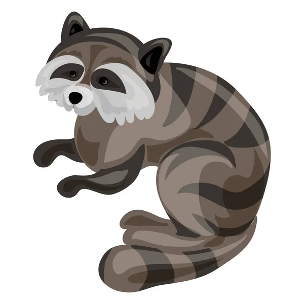 Raccoon icon, cartoon style — Stock Vector