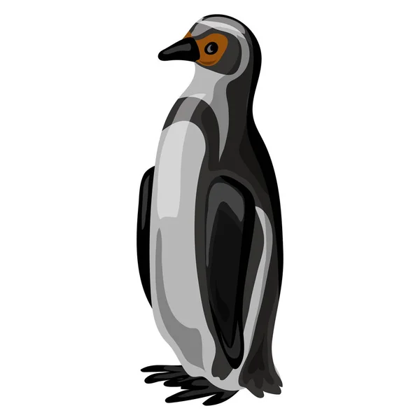 Ikoną pingwina, stylu cartoon — Wektor stockowy