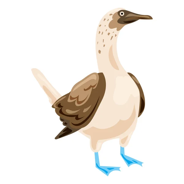 Albastru cu picioare booby icon, stil de desene animate — Vector de stoc