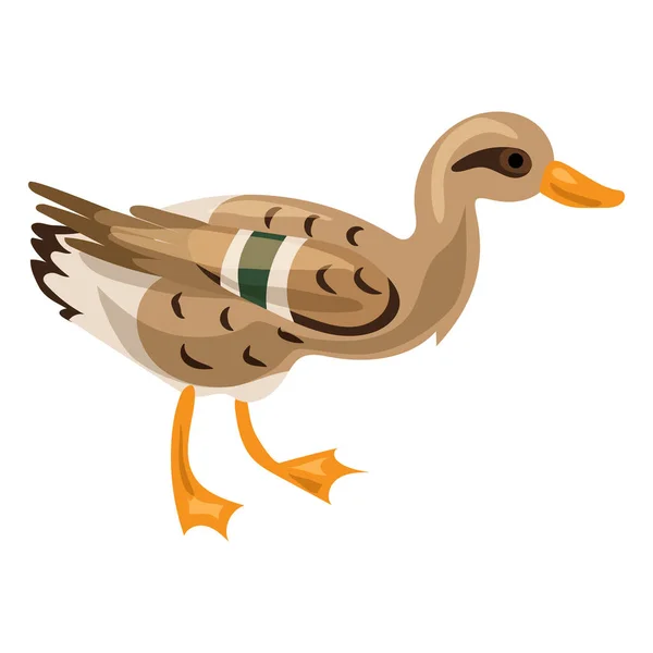 Wild duck icon, cartoon style — Stock Vector