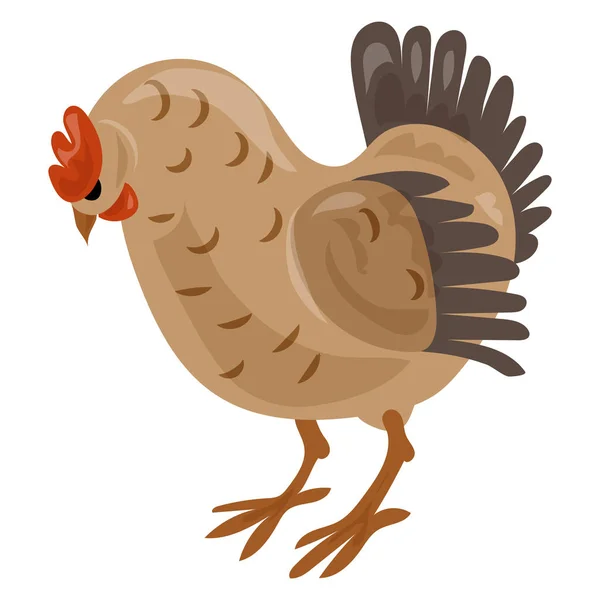 Kyckling-ikonen, tecknad stil — Stock vektor
