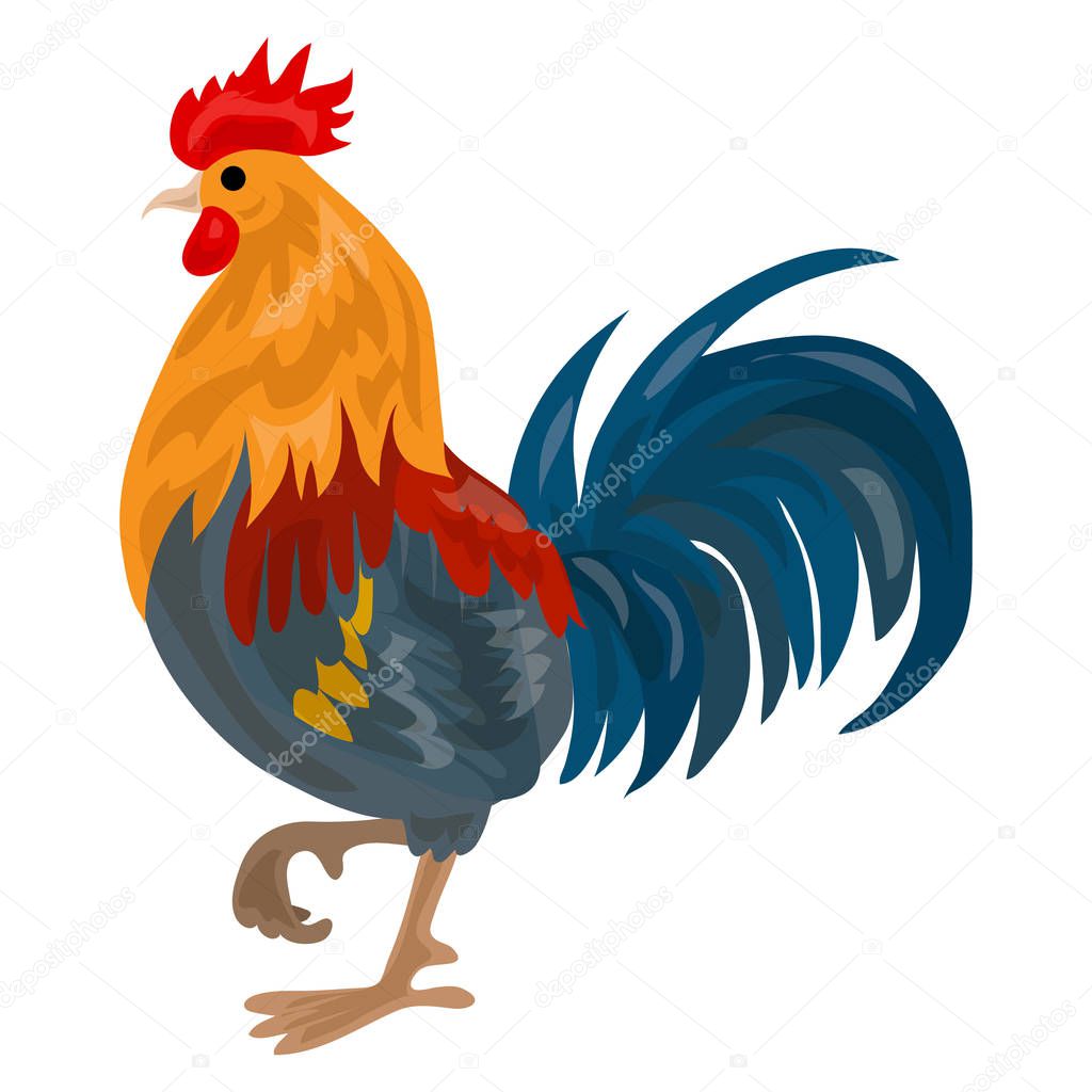 Farm cock icon, cartoon style