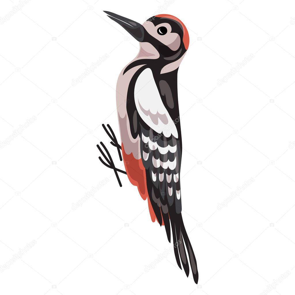 Woodpecker icon, cartoon style
