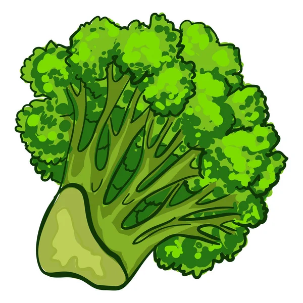 Frisches Brokkoli-Symbol im Cartoon-Stil — Stockvektor