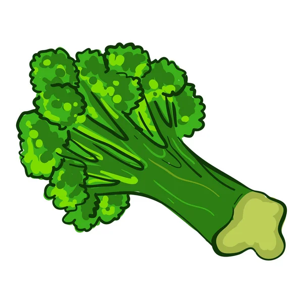 Garden broccoli icon, cartoon style — Stock Vector