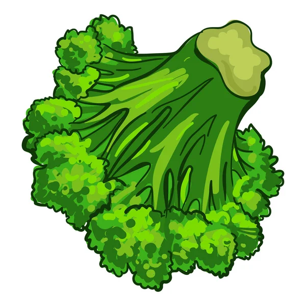 Gemüse-Ikone Brokkoli im Cartoon-Stil — Stockvektor