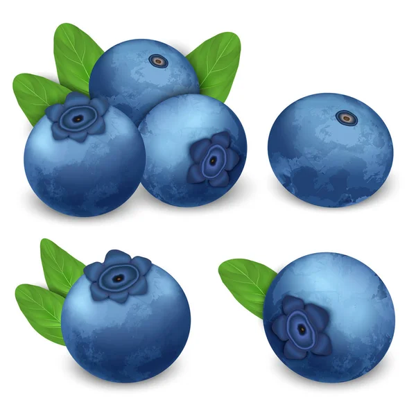 Bilberry simge seti, gerçekçi — Stok Vektör