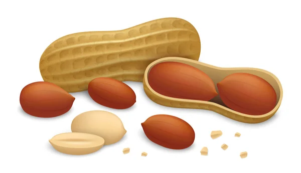 Conjunto de ícones de amendoim, estilo realista — Vetor de Stock
