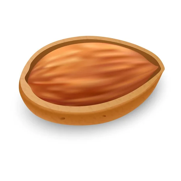 Icono de almendra cruda, estilo realista — Vector de stock