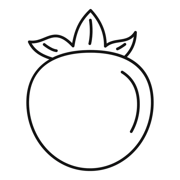 Icône Persimmon, style contour — Image vectorielle