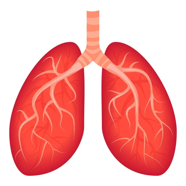 Lungs icon, cartoon style — Stock Vector