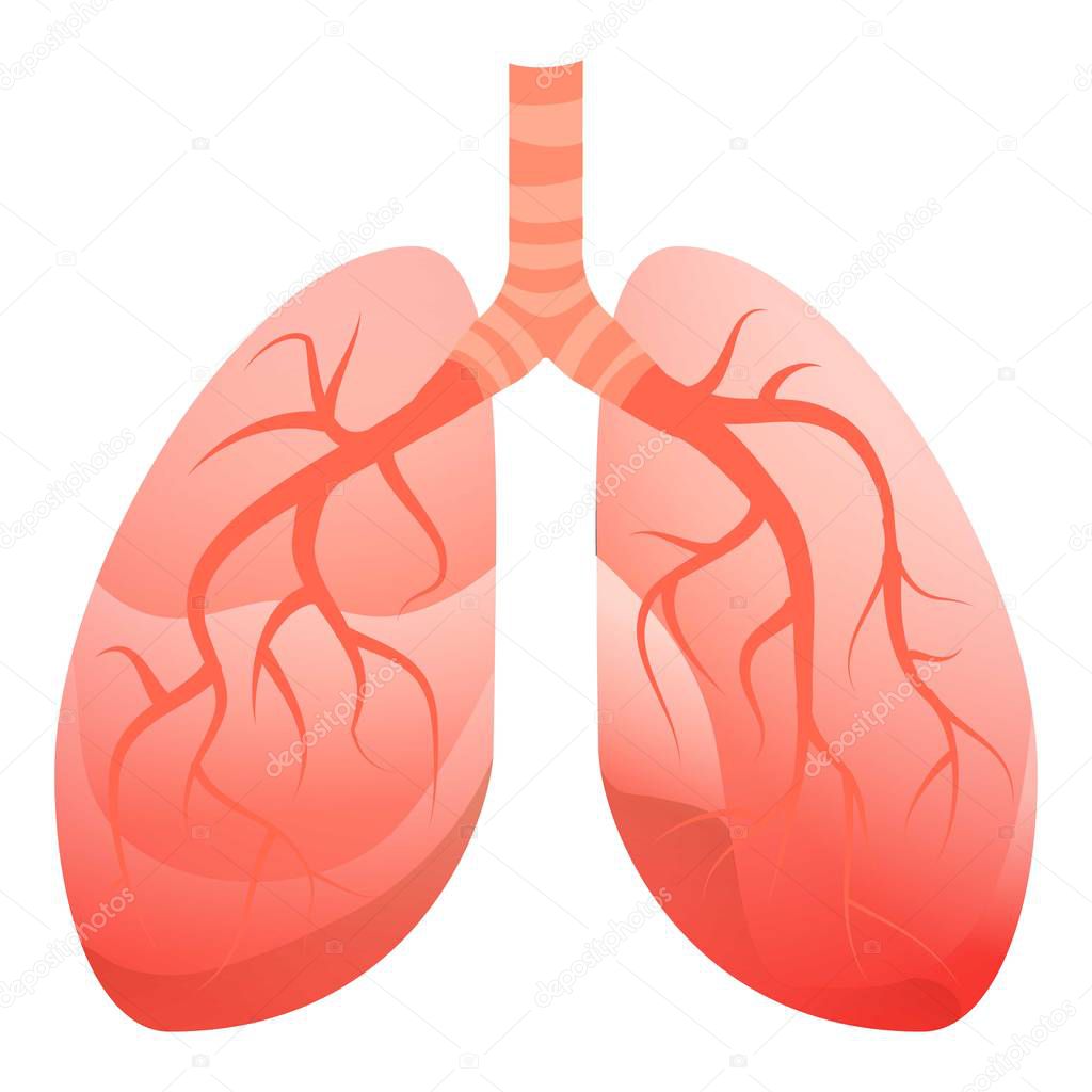 Human lungs icon, cartoon style