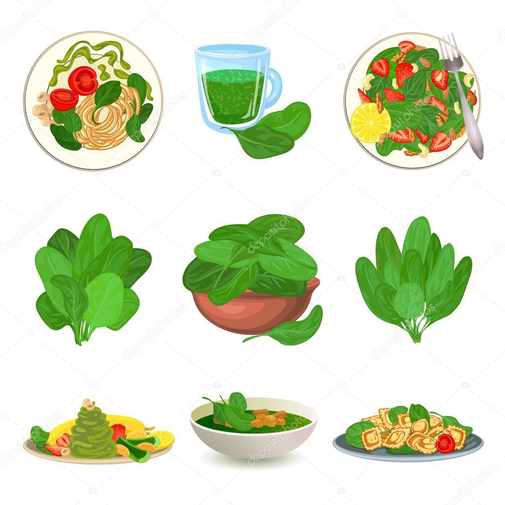 Spinach icons set, cartoon style
