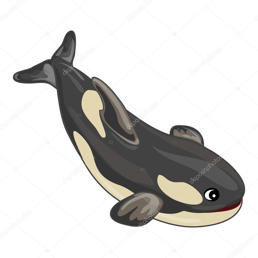 Orca whale icon, cartoon style