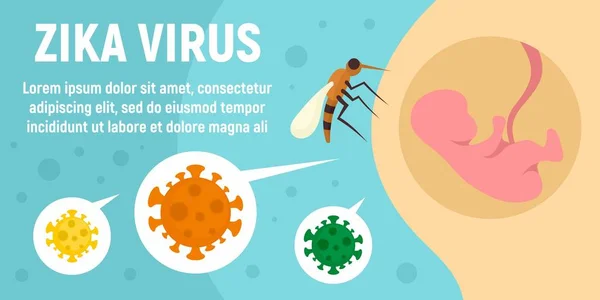 寨卡病毒蚊虫概念横幅，扁平风格 — 图库矢量图片