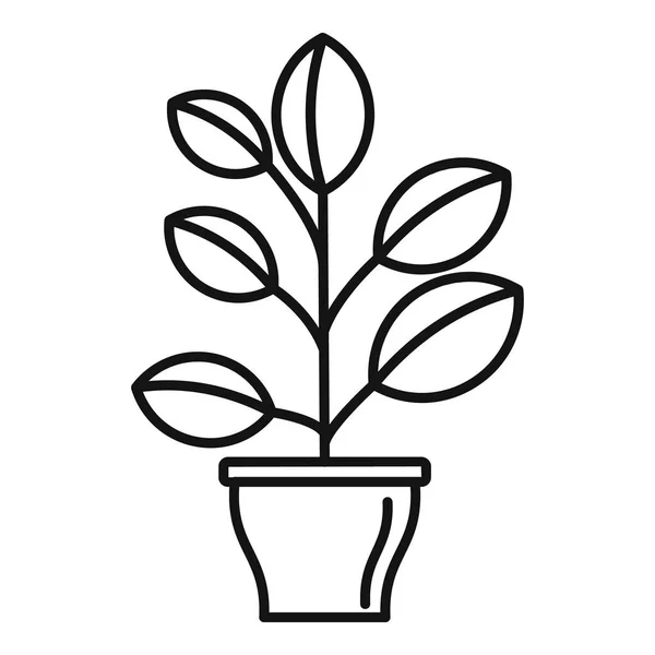Hohe Zimmerpflanze Ikone, Umrissstil — Stockvektor