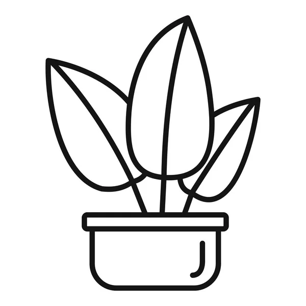 Ikona tropikalnych liści doniczki, styl konturu — Wektor stockowy