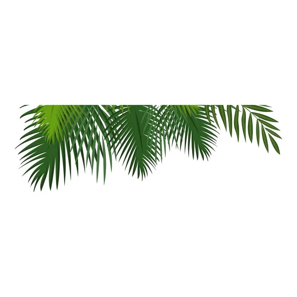 Icône de feuille tropicale, style dessin animé — Image vectorielle