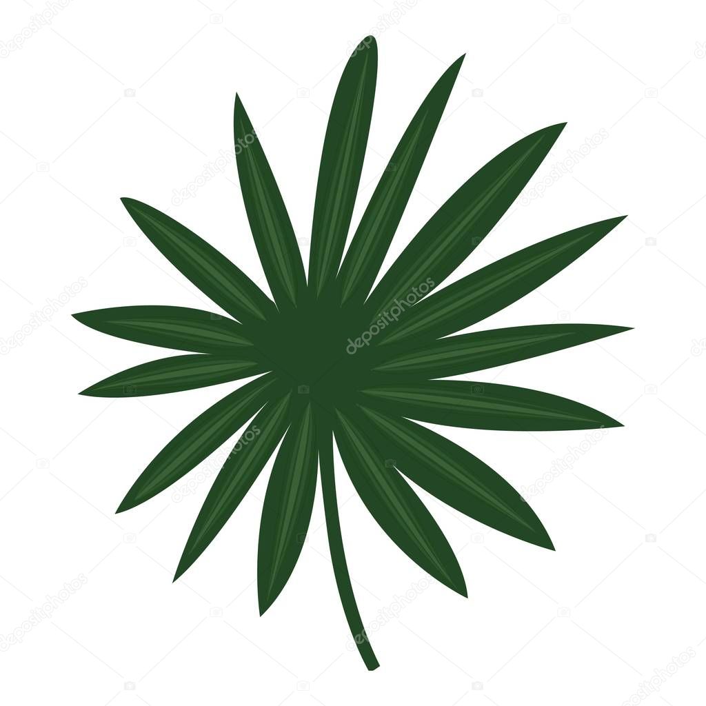 Fan palm leaf icon, cartoon style