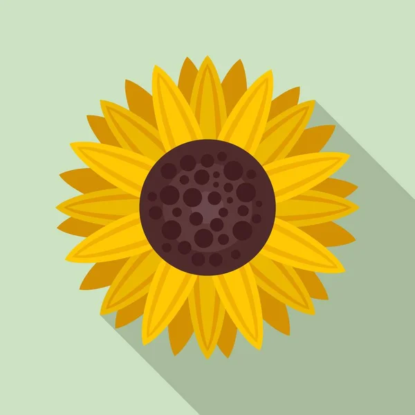 Піктограма рослини соняшнику, плоский стиль — стоковий вектор
