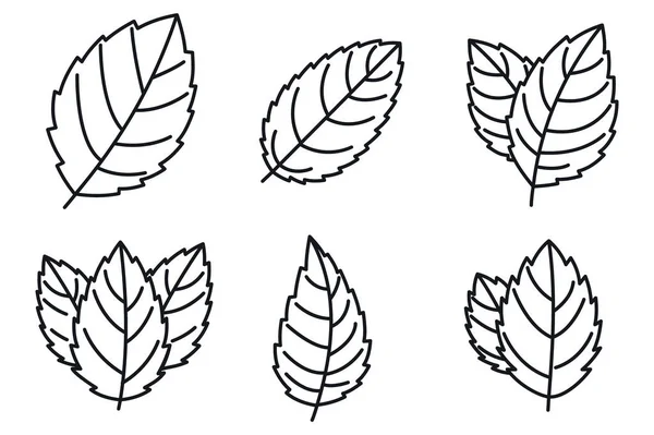 Ensemble d'icônes de menthe poivrée, style contour — Image vectorielle