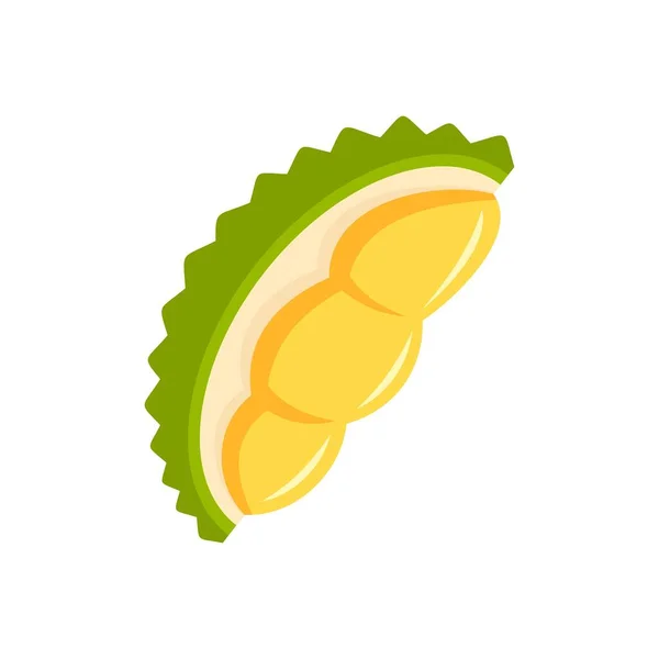 Fresh durian piece icon, flat style — Stock Vector