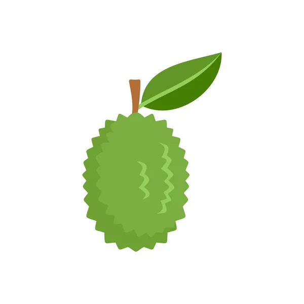 Icono de durian crudo entero, estilo plano — Vector de stock