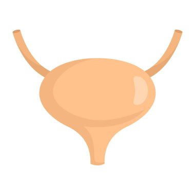 Bladder icon, flat style clipart
