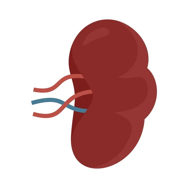 Икона селезенки, плоский стиль — стоковый вектор