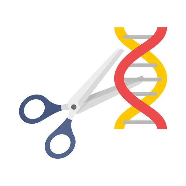 Піктограма прорізаної молекули ДНК, плоский стиль — стоковий вектор