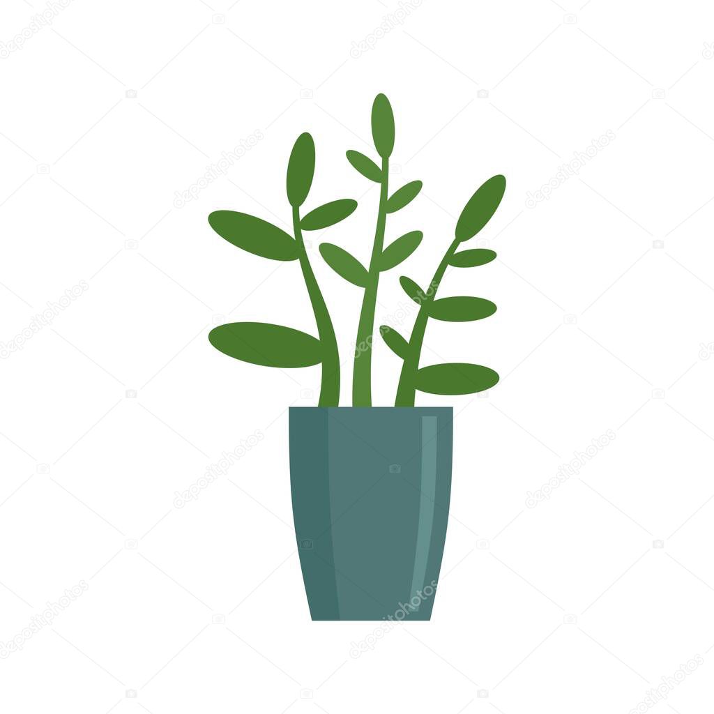 Gardenia plant icon, flat style