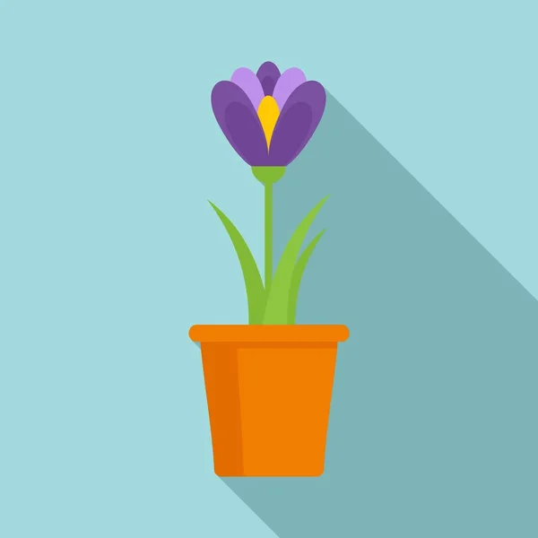 Crocus flower pot icon, flat style — Stock Vector