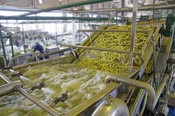 Judías Verdes Cinta Transportadora Una Planta Procesamiento Alimentos Agua Rocía — Foto de Stock