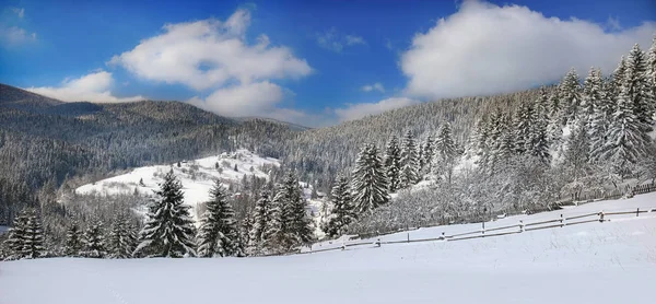 Paisagem Inverno Com Árvores Nevadas Vista Panorâmica Vale Floresta Montanha — Fotografia de Stock