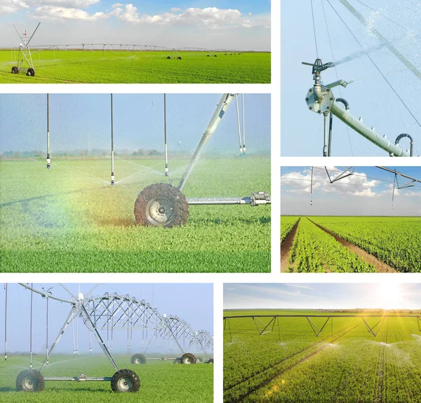 Irrigation System Agricultural Field Dry Season Increases Crop Yields Rainbow — Stock Photo, Image