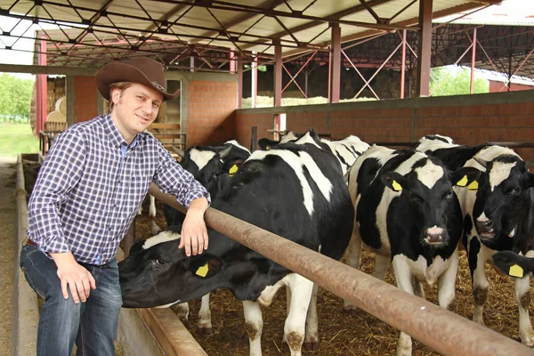 Επιτυχημένος Αγρότης Εργάζεται Κτηνοτροφική Εκμετάλλευση Και Φροντίζει Τις Αγελάδες Της — Φωτογραφία Αρχείου